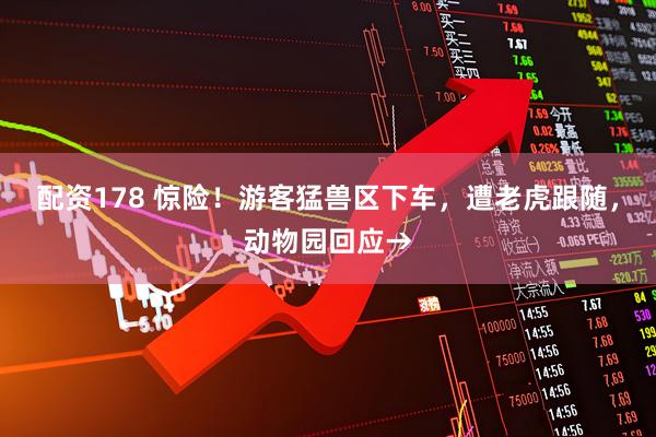 配资178 惊险！游客猛兽区下车，遭老虎跟随，动物园回应→