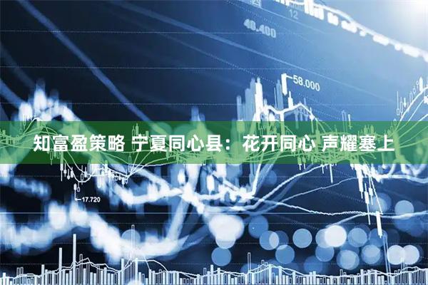 知富盈策略 宁夏同心县：花开同心 声耀塞上